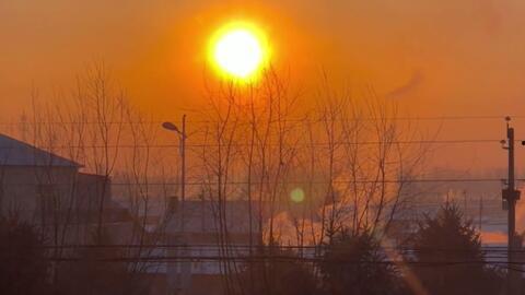 日落爆料视频大全最新,揭秘最新视频大全背后的惊人真相